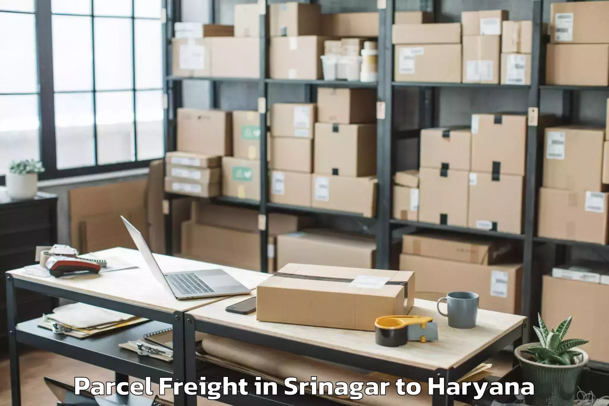 Book Your Srinagar to Sohna Parcel Freight Today